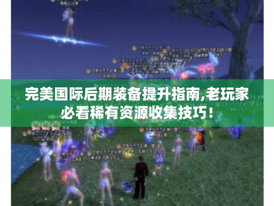 完美国际后期装备提升指南,老玩家必看稀有资源收集技巧! 完美国际后期装备提升指南,老玩家必看稀有资源收集技巧!