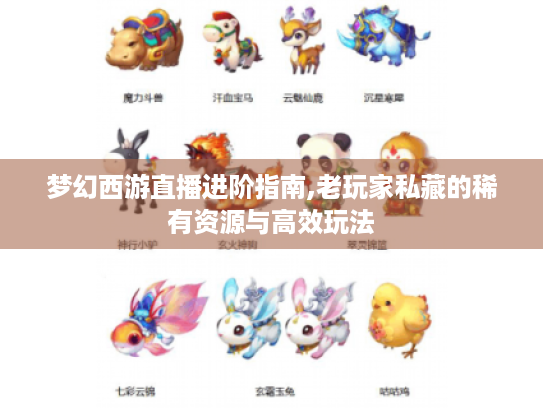 梦幻西游直播进阶指南,老玩家私藏的稀有资源与高效玩法 梦幻西游直播进阶指南,老玩家私藏的稀有资源与高效玩法