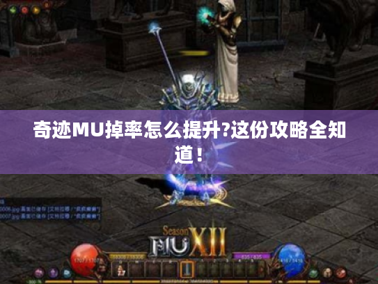 奇迹MU掉率怎么提升?这份攻略全知道! 奇迹MU掉率怎么提升?这份攻略全知道!