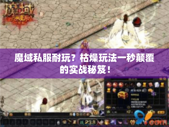 魔域私服耐玩?枯燥玩法一秒颠覆的实战秘笈! 魔域私服耐玩?枯燥玩法一秒颠覆的实战秘笈!