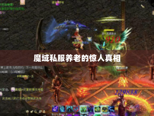 魔域私服养老的惊人真相 魔域私服养老的惊人真相