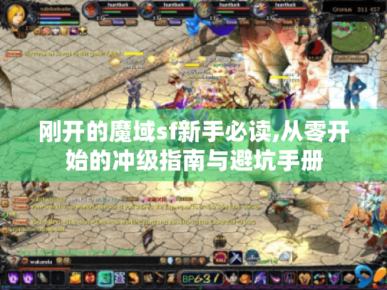 刚开的魔域sf新手必读,从零开始的冲级指南与避坑手册 刚开的魔域sf新手必读,从零开始的冲级指南与避坑手册