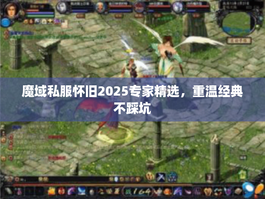 魔域私服怀旧2025专家精选，重温经典不踩坑