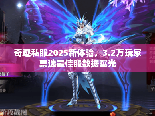 奇迹私服2025新体验，3.2万玩家票选最佳服数据曝光