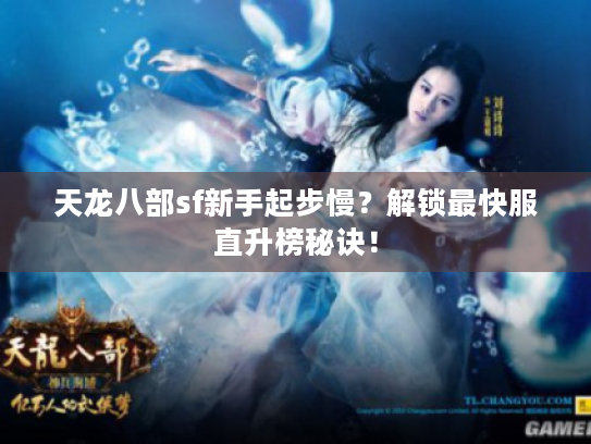 天龙八部sf新手起步慢?解锁最快服直升榜秘诀! 天龙八部sf新手起步慢?解锁最快服直升榜秘诀!