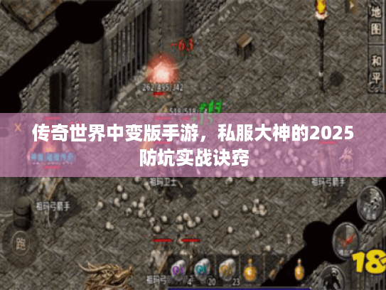 传奇世界中变版手游,私服大神的2025防坑实战诀窍 传奇世界中变版手游,私服大神的2025防坑实战诀窍