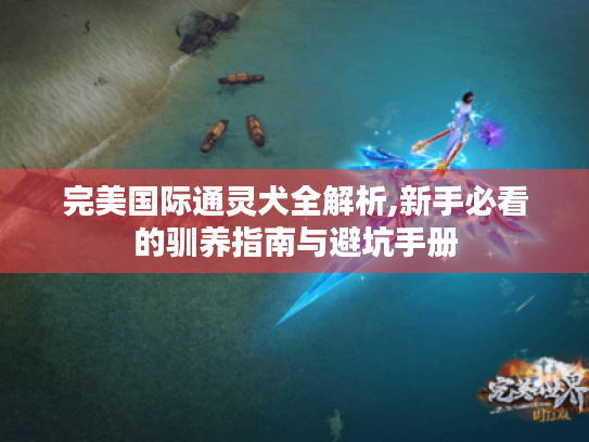 完美国际通灵犬全解析,新手必看的驯养指南与避坑手册 完美国际通灵犬全解析,新手必看的驯养指南与避坑手册