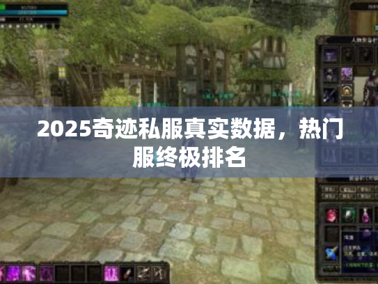2025奇迹私服真实数据,热门服终极排名 2025奇迹私服真实数据,热门服终极排名