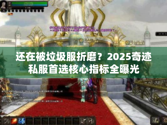 还在被垃圾服折磨?2025奇迹私服首选核心指标全曝光 还在被垃圾服折磨?2025奇迹私服首选核心指标全曝光