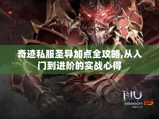 奇迹私服圣导加点全攻略,从入门到进阶的实战心得 奇迹私服圣导加点全攻略,从入门到进阶的实战心得