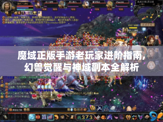 魔域正版手游老玩家进阶指南,幻兽觉醒与神域副本全解析 魔域正版手游老玩家进阶指南,幻兽觉醒与神域副本全解析