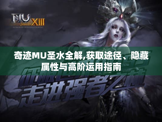 奇迹MU圣水全解,获取途径、隐藏属性与高阶运用指南