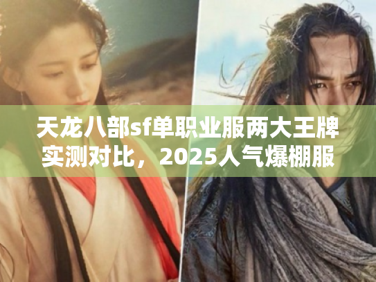 天龙八部sf单职业服两大王牌实测对比,2025人气爆棚服数据拆解 天龙八部sf单职业服两大王牌实测对比,2025人气爆棚服数据拆解