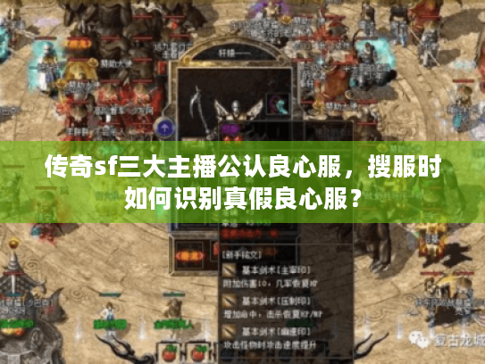 传奇sf三大主播公认良心服,搜服时如何识别真假良心服? 传奇sf三大主播公认良心服,搜服时如何识别真假良心服?