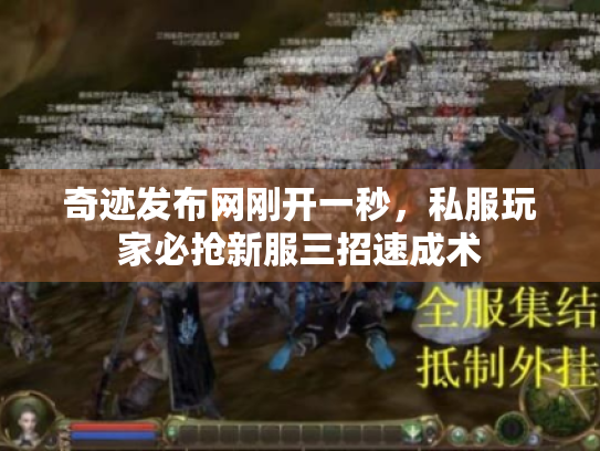 奇迹发布网刚开一秒,私服玩家必抢新服三招速成术 奇迹发布网刚开一秒,私服玩家必抢新服三招速成术