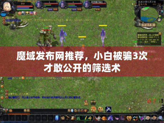 魔域发布网推荐,小白被骗3次才敢公开的筛选术 魔域发布网推荐,小白被骗3次才敢公开的筛选术