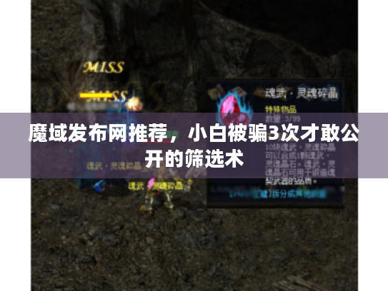 魔域发布网推荐,小白被骗3次才敢公开的筛选术 魔域发布网推荐,小白被骗3次才敢公开的筛选术