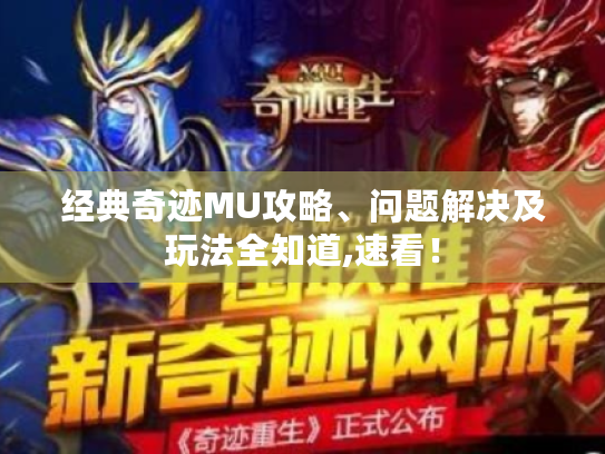 经典奇迹MU攻略、问题解决及玩法全知道,速看！