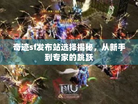 奇迹sf发布站选择揭秘,从新手到专家的跳跃 奇迹sf发布站选择揭秘,从新手到专家的跳跃