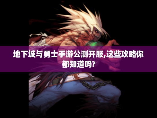 地下城与勇士手游公测开服,这些攻略你都知道吗? 地下城与勇士手游公测开服,这些攻略你都知道吗?