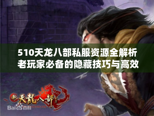 510天龙八部私服资源全解析 老玩家必备的隐藏技巧与高效攻略 510天龙八部私服资源全解析 老玩家必备的隐藏技巧与高效攻略