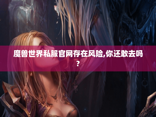魔兽世界私服官网存在风险,你还敢去吗?