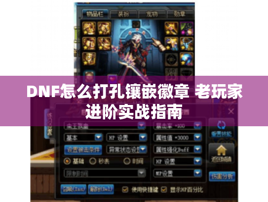 DNF怎么打孔镶嵌徽章 老玩家进阶实战指南 DNF怎么打孔镶嵌徽章 老玩家进阶实战指南