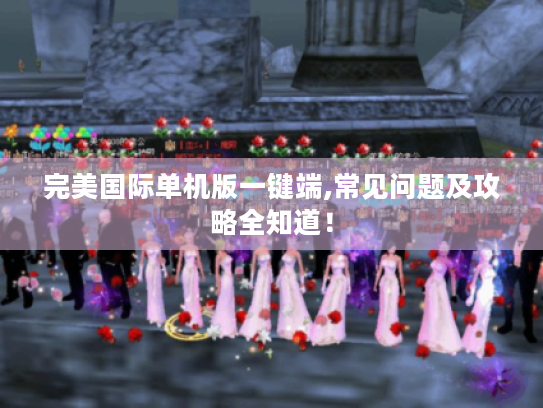 完美国际单机版一键端,常见问题及攻略全知道! 完美国际单机版一键端,常见问题及攻略全知道!