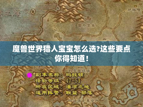 魔兽世界猎人宝宝怎么选?这些要点你得知道! 魔兽世界猎人宝宝怎么选?这些要点你得知道!