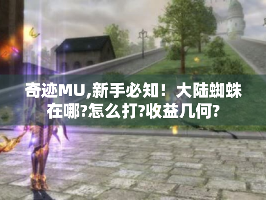 奇迹MU,新手必知!大陆蜘蛛在哪?怎么打?收益几何? 奇迹MU,新手必知!大陆蜘蛛在哪?怎么打?收益几何?