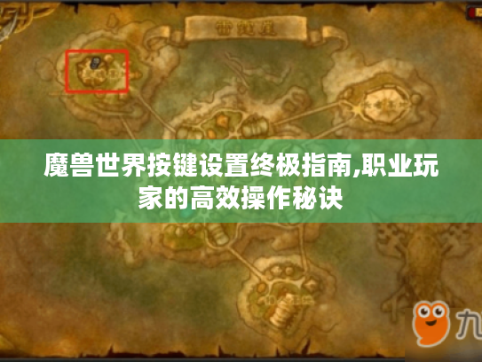 魔兽世界按键设置终极指南,职业玩家的高效操作秘诀