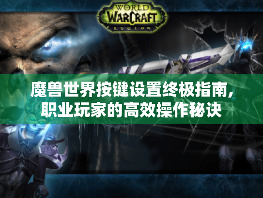 魔兽世界按键设置终极指南,职业玩家的高效操作秘诀