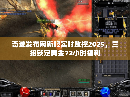 奇迹发布网新服实时监控2025,三招锁定黄金72小时福利 奇迹发布网新服实时监控2025,三招锁定黄金72小时福利