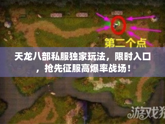 天龙八部私服独家玩法,限时入口,抢先征服高爆率战场! 天龙八部私服独家玩法,限时入口,抢先征服高爆率战场!