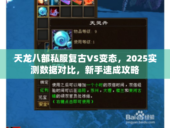 天龙八部私服复古VS变态,2025实测数据对比,新手速成攻略 天龙八部私服复古VS变态,2025实测数据对比,新手速成攻略