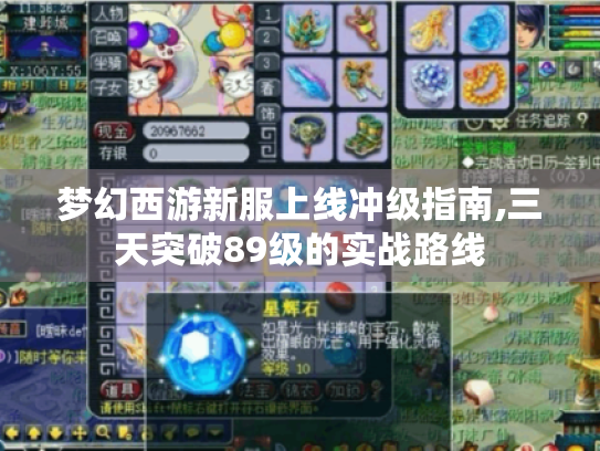 梦幻西游新服上线冲级指南,三天突破89级的实战路线 梦幻西游新服上线冲级指南,三天突破89级的实战路线