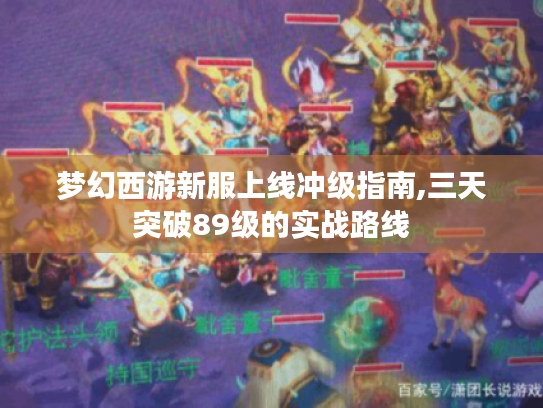 梦幻西游新服上线冲级指南,三天突破89级的实战路线 梦幻西游新服上线冲级指南,三天突破89级的实战路线