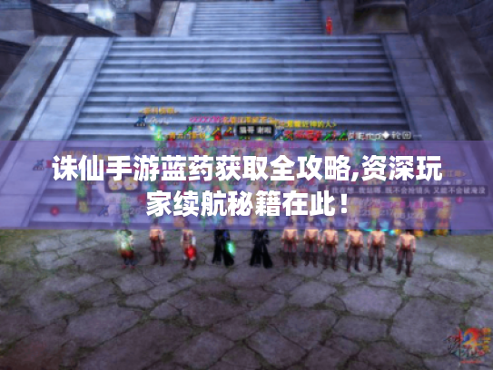 诛仙手游蓝药获取全攻略,资深玩家续航秘籍在此! 诛仙手游蓝药获取全攻略,资深玩家续航秘籍在此!