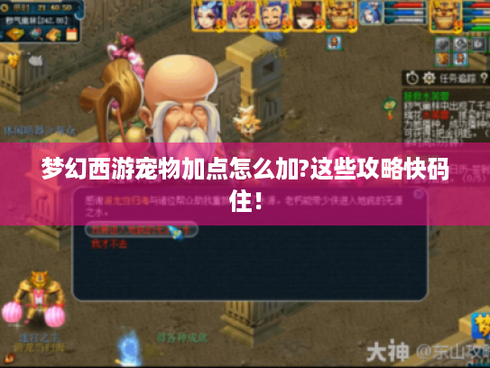 梦幻西游宠物加点怎么加?这些攻略快码住! 梦幻西游宠物加点怎么加?这些攻略快码住!