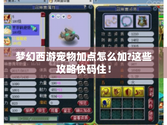 梦幻西游宠物加点怎么加?这些攻略快码住! 梦幻西游宠物加点怎么加?这些攻略快码住!