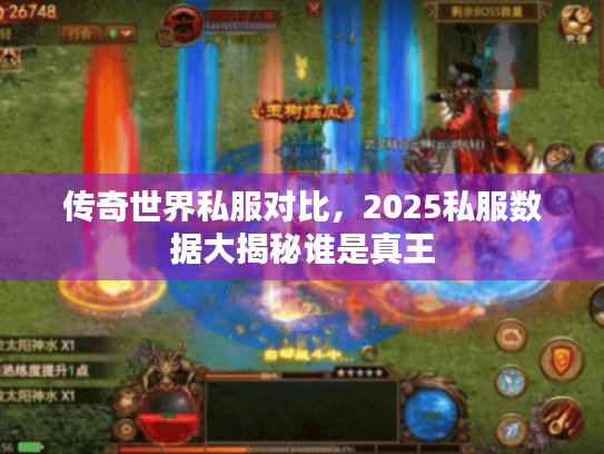传奇世界私服对比，2025私服数据大揭秘谁是真王