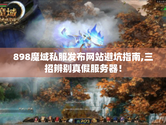 898魔域私服发布网站避坑指南,三招辨别真假服务器! 898魔域私服发布网站避坑指南,三招辨别真假服务器!
