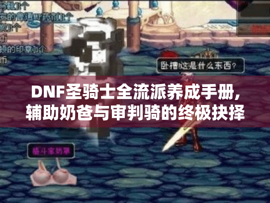 DNF圣骑士全流派养成手册,辅助奶爸与审判骑的终极抉择