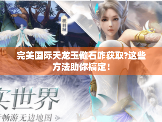 完美国际天龙玉髓石咋获取?这些方法助你搞定！