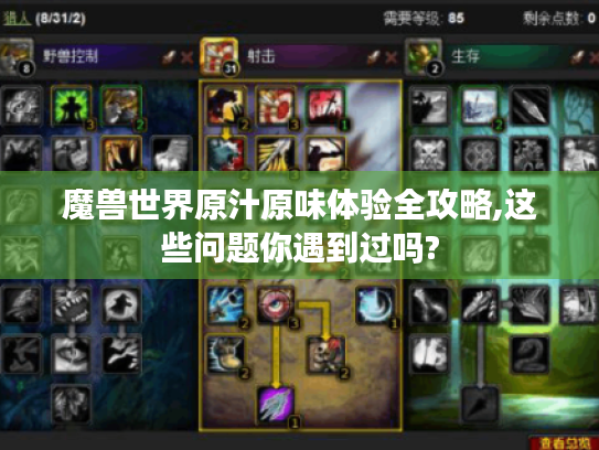魔兽世界原汁原味体验全攻略,这些问题你遇到过吗? 魔兽世界原汁原味体验全攻略,这些问题你遇到过吗?