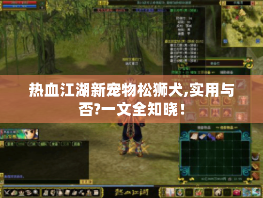 热血江湖新宠物松狮犬,实用与否?一文全知晓! 热血江湖新宠物松狮犬,实用与否?一文全知晓!