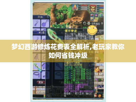 梦幻西游修炼花费表全解析,老玩家教你如何省钱冲级 梦幻西游修炼花费表全解析,老玩家教你如何省钱冲级