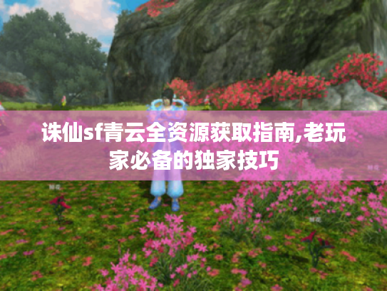 诛仙sf青云全资源获取指南,老玩家必备的独家技巧 诛仙sf青云全资源获取指南,老玩家必备的独家技巧