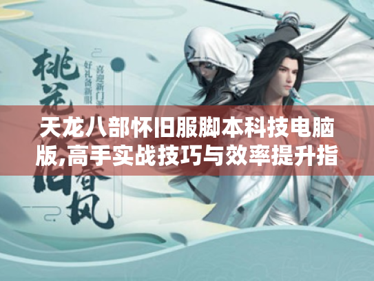 天龙八部怀旧服脚本科技电脑版,高手实战技巧与效率提升指南
