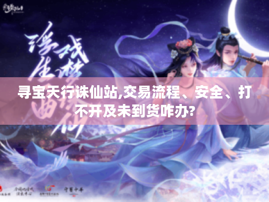 寻宝天行诛仙站,交易流程、安全、打不开及未到货咋办? 寻宝天行诛仙站,交易流程、安全、打不开及未到货咋办?